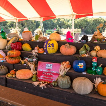 Underwood Family Farms All About Pumpkins