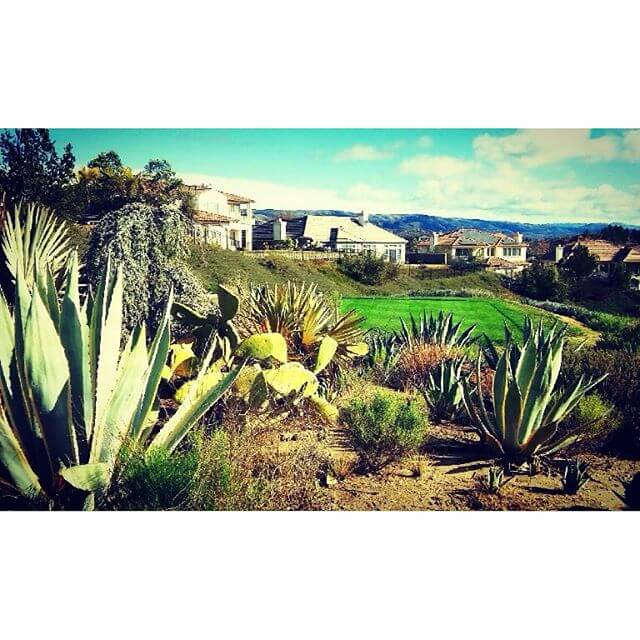 Moorpark Country Club