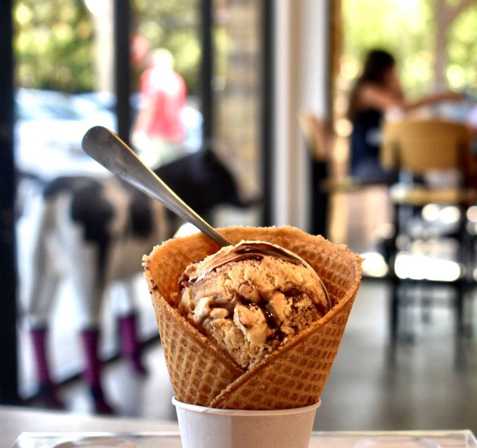 Little Calf Creamery