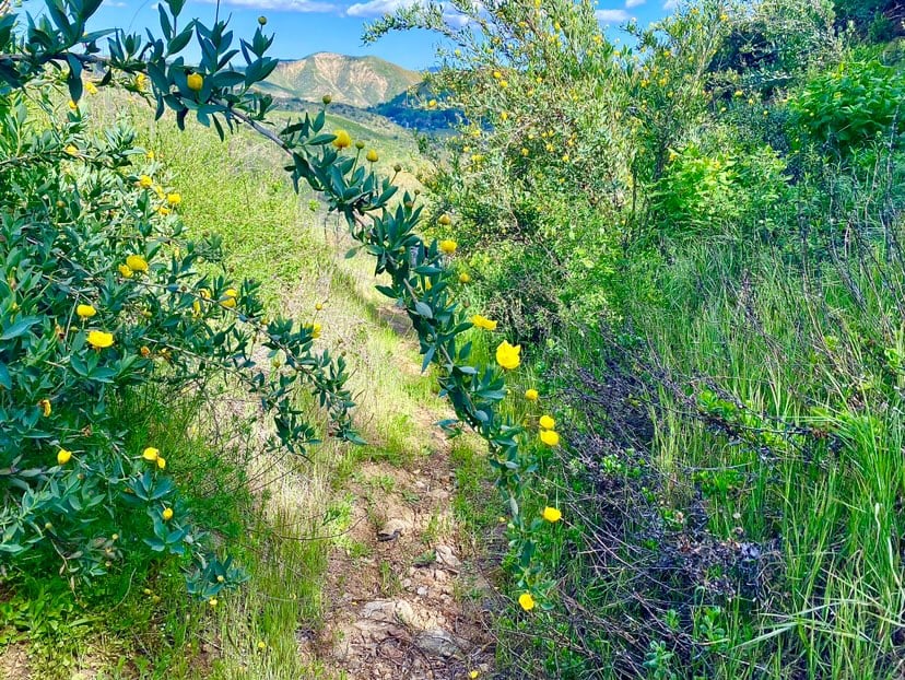 343931324_1584125328734547_4115500339564284794_n