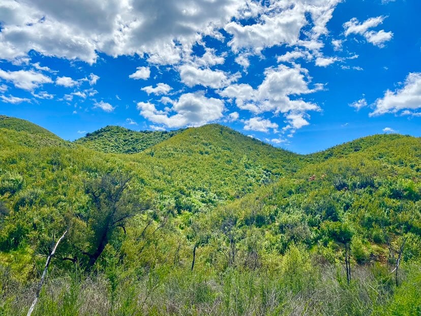 Green hills under partially cloudy blue sky, covered in vibrant vegetation with a lush landscape in Conejo Valley.