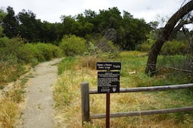 Trail sign with text: "Santa Monica Mountain Visitor Information 805-370-2301," beside a narrow dirt path.