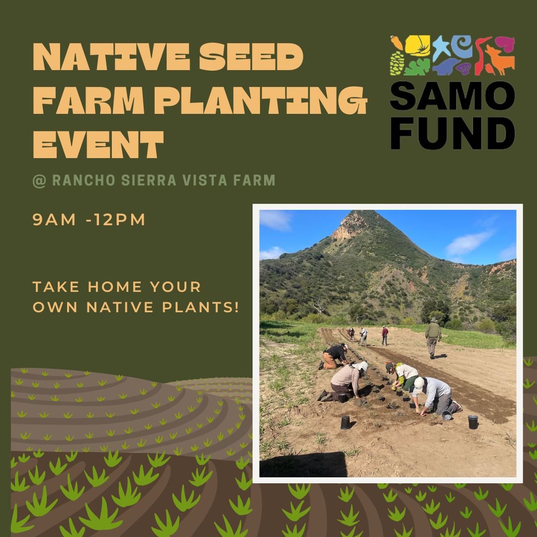 Native Seed Farm Planting at Rancho Sierra Vista