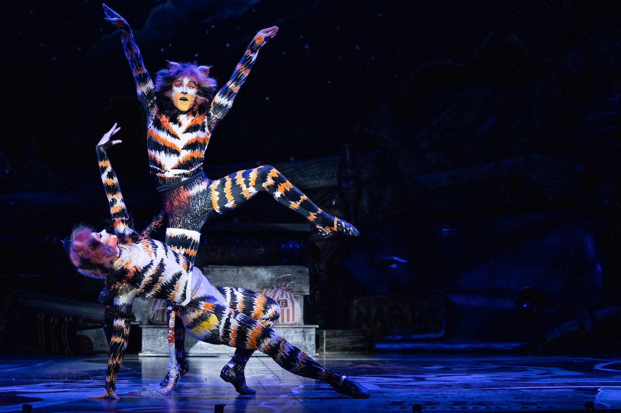 Broadway in Thousand Oaks: CATS