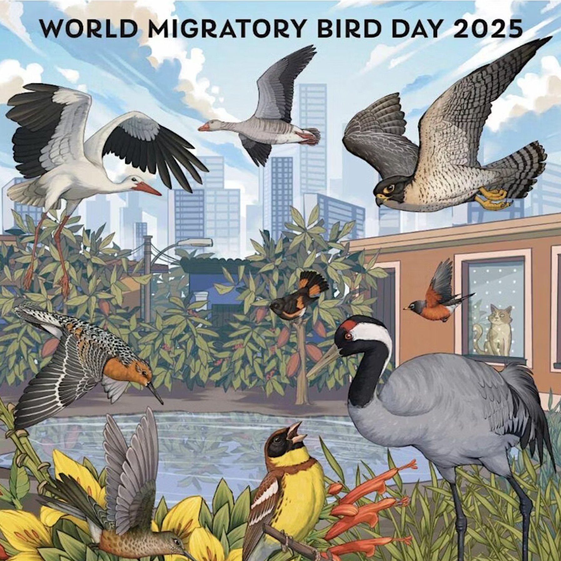 World Migratory Bird Day 2025