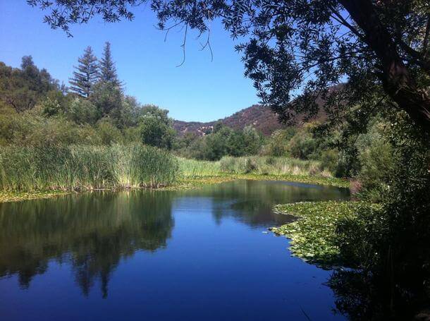 Serene pond reflecting blue sky, surrounded by lush greenery and distant hills in a peaceful nature setting.