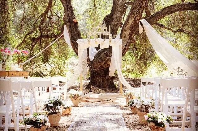 Wedding ceremony setup with white chairs facing an arch draped in white fabric, set against a large tree in a sunlit forest.