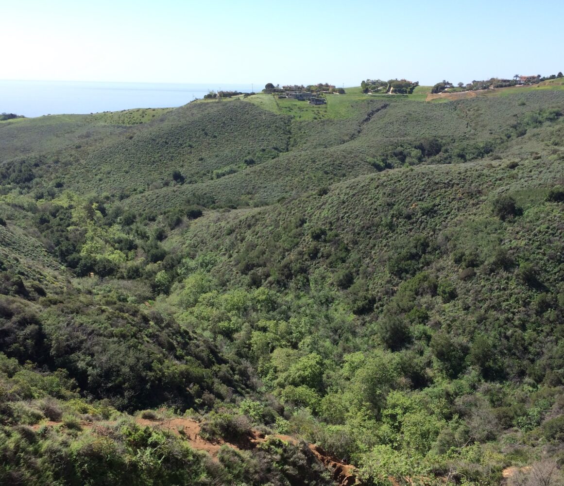 Rolling green hills covered in dense vegetation extend into the distance, with a few houses perched on the horizon.