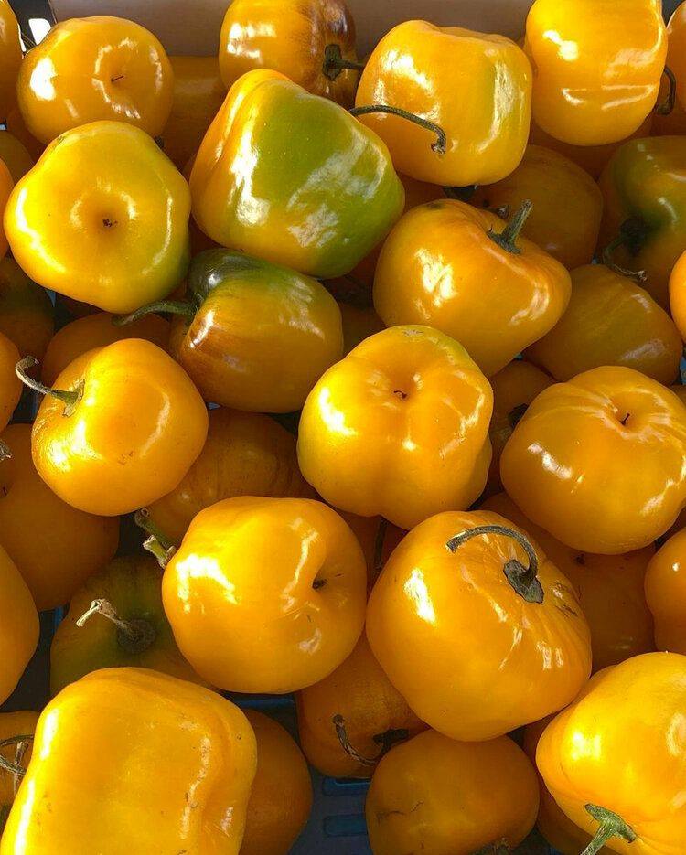 Thousand Oaks Farmers Market