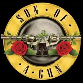 Son of a Gun and Clone Temple Pilots
