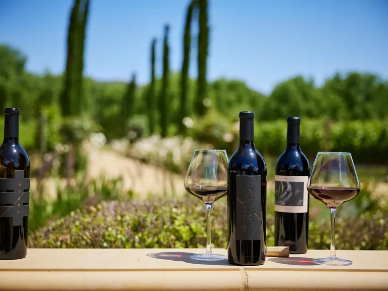 Wine bottles stand with filled glasses on a stone ledge; lush garden and tall trees form the scenic vineyard background under a bright blue sky in Conejo Valley.