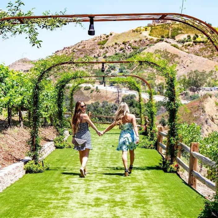 Picnic at The Trail @ Cielo Farms