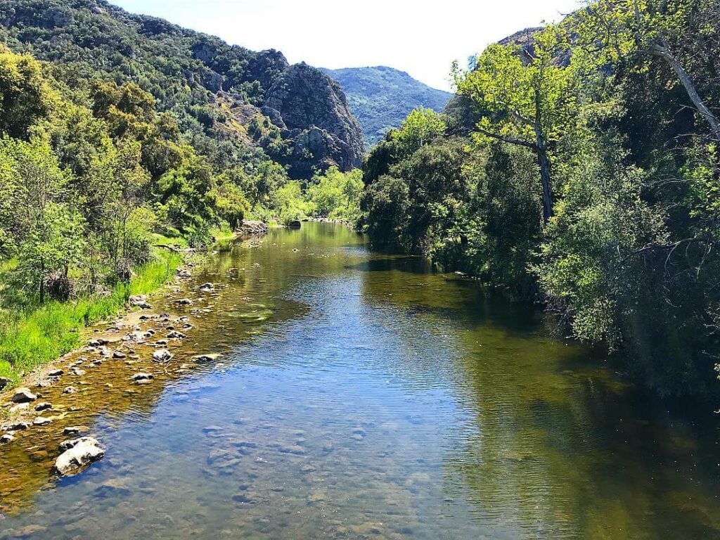 30603425_1830894690545059_1855022729061728256_n