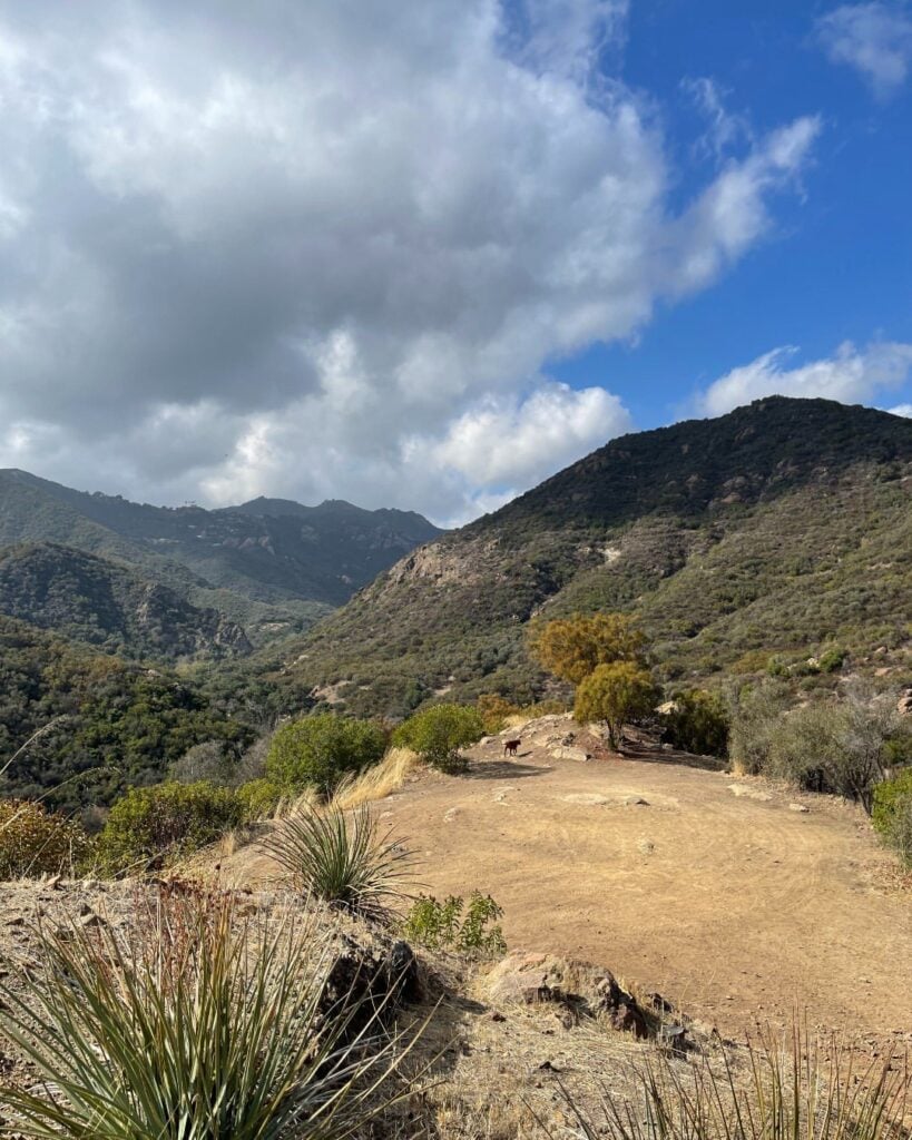 337100488_744375107306585_2677220987385085656_n