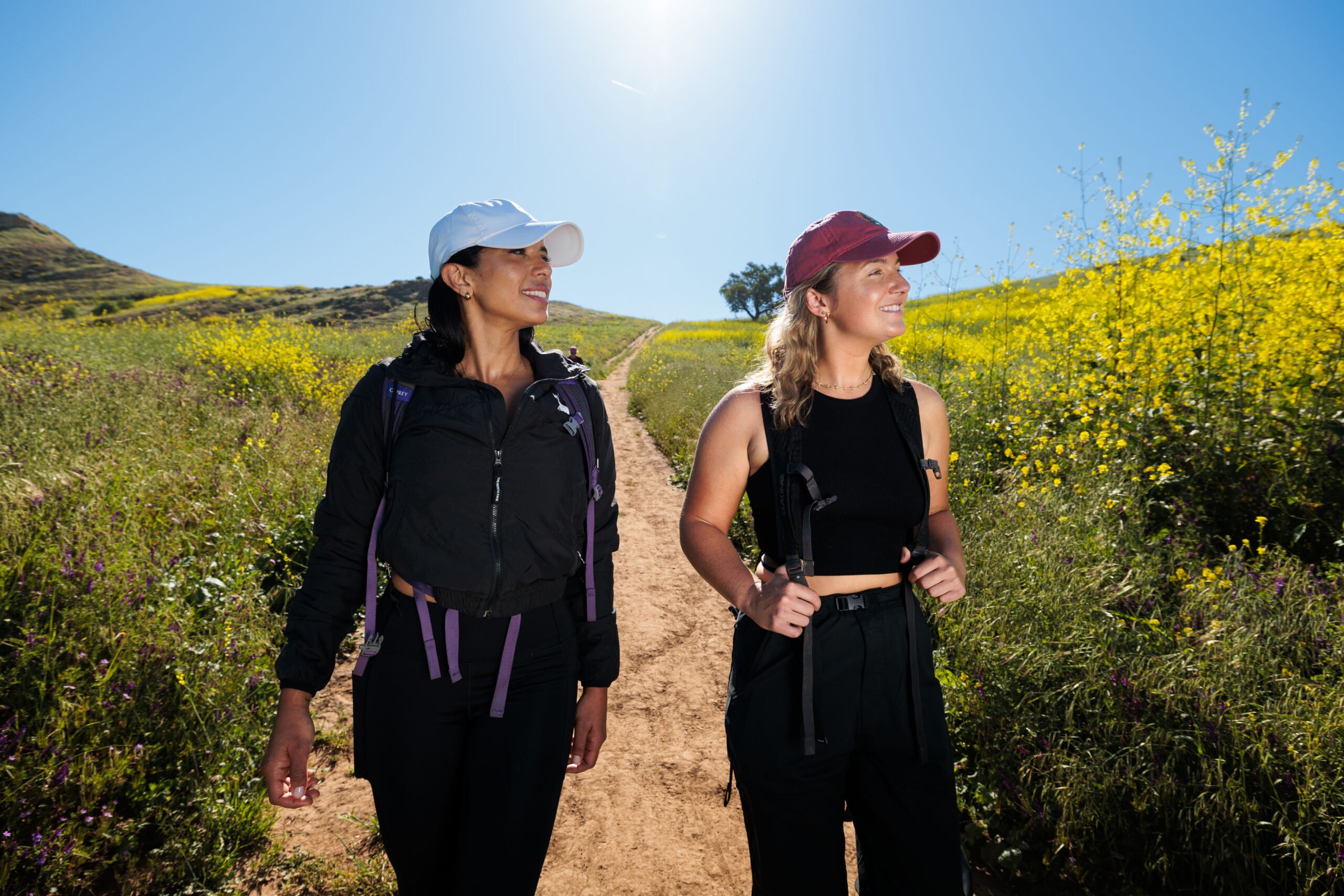 Two women hike on a sunny dirt trail surrounded by lush green hills and vibrant yellow wildflowers.