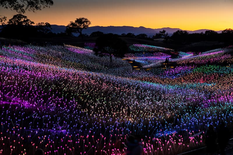 Colorful illuminated light installation spread across rolling hills at dusk with glowing orbs in pink, blue, and purple.