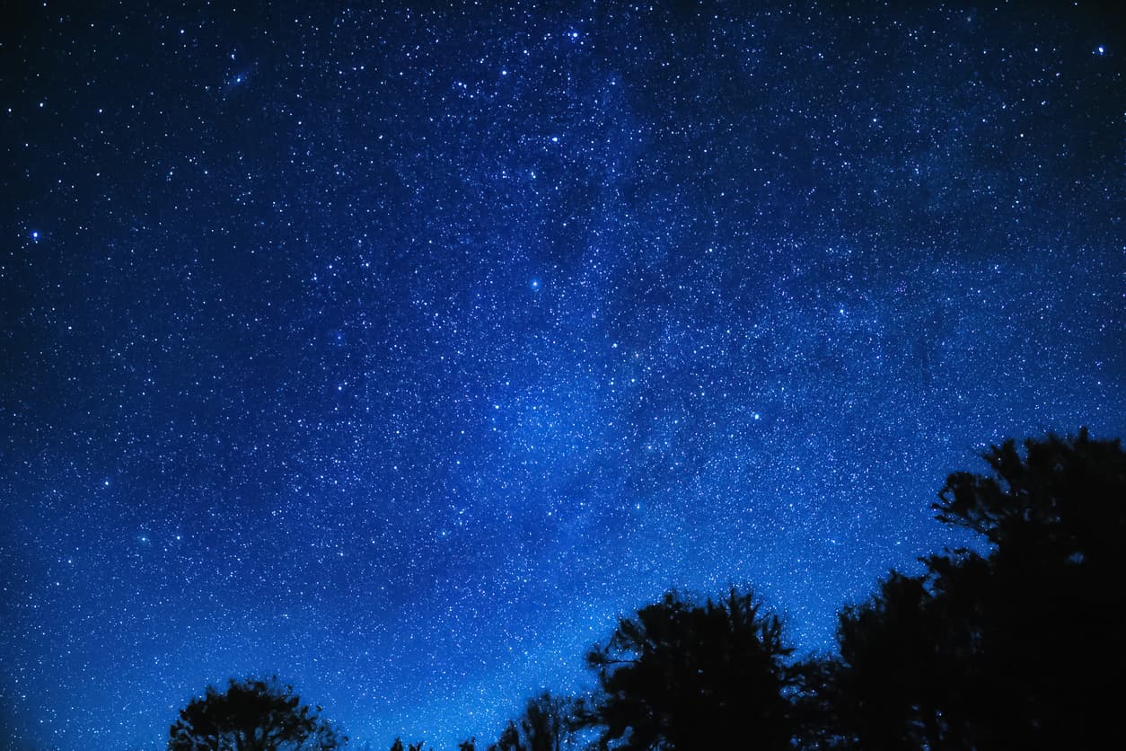 Night Sky Festival