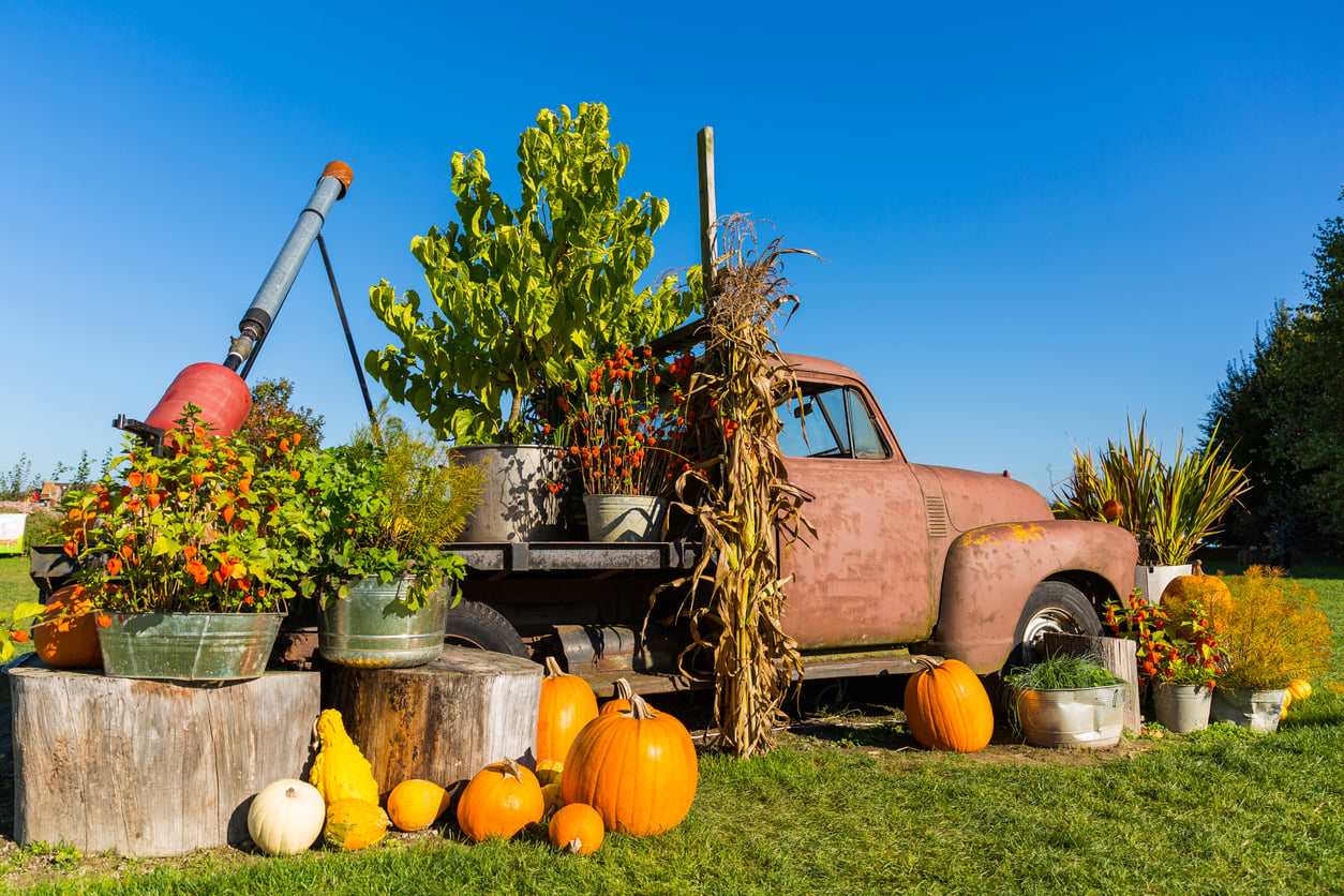 All About Pumpkins Weekend @ Underwood Family Farms